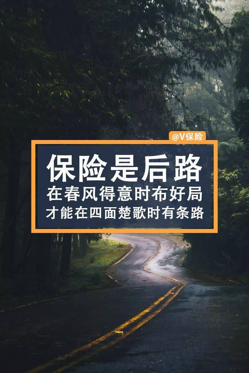 杏彩体育网站-波鸿客场遭逢不利，保级困境愈发沉重的简单介绍