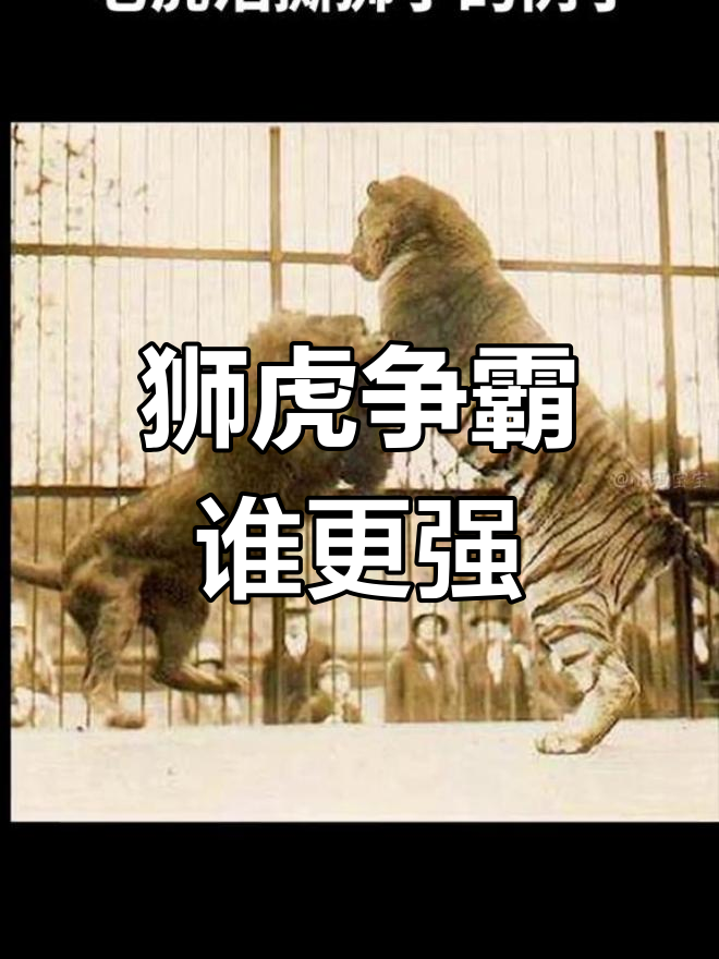 杏彩体育网页版登录入口-比分平手的比赛出现争议，胜负难定的简单介绍