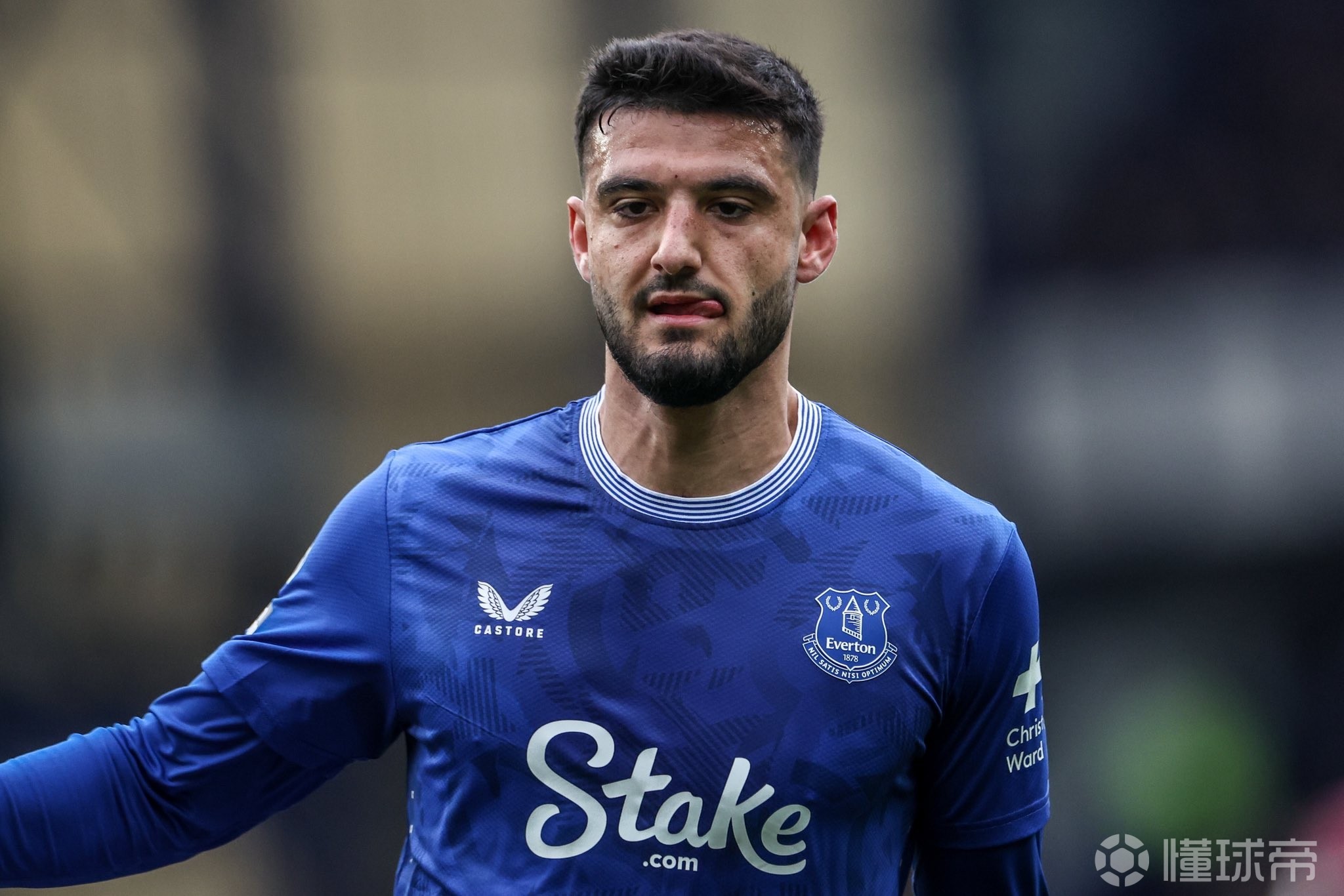 包含狼堡主场迎战莱比锡刚果军团的词条