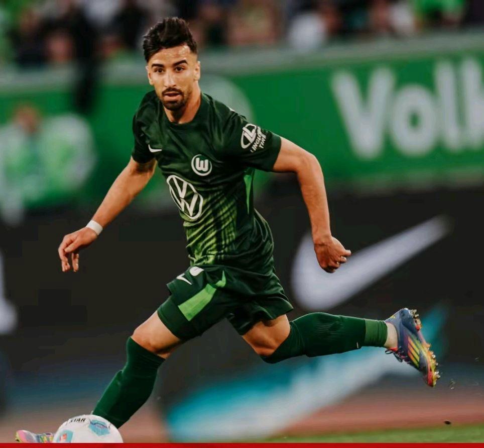 杏彩体育在线-沃尔夫斯堡继续引进年轻球员，为未来打算的简单介绍