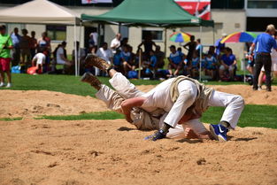 杏彩体育直播-意甲舞台火爆开战，各队实力拼杀争取胜利，意甲出场